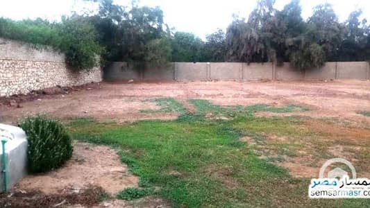 أرض تجارية  للبيع في مركز الجيزة، الجيزة - ارض المنصوريه. jpg