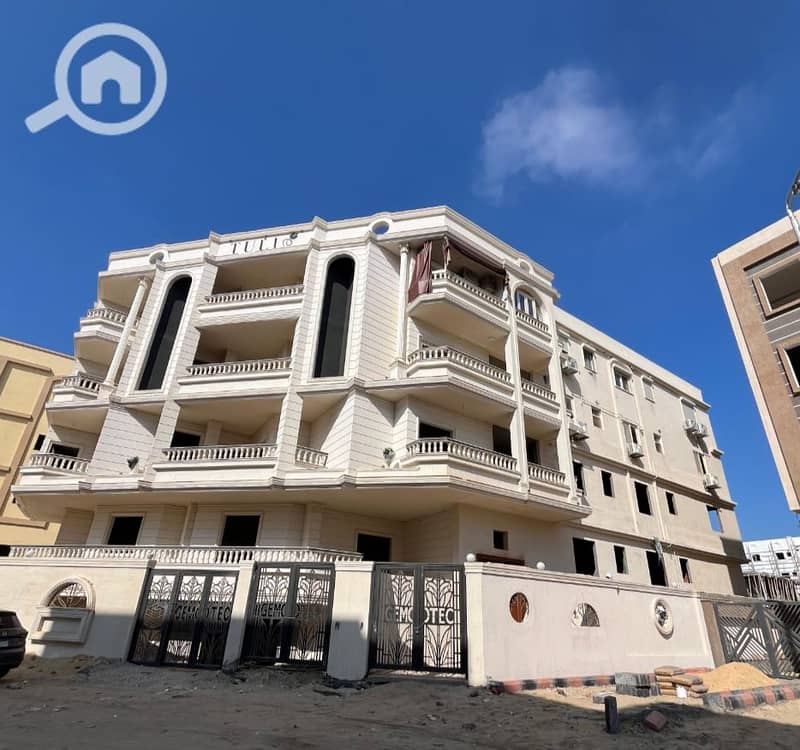 2 توليب 2. PNG