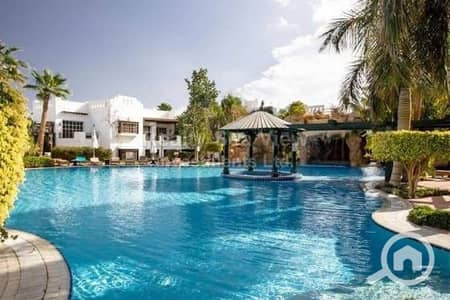 1 Bedroom Flat for Rent in Sharm al-Sheikh, South Sinai - for rent 1 bed room in delta sharm