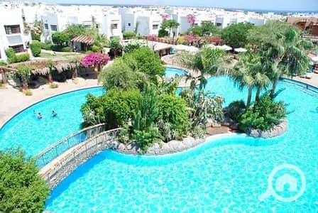 Chalet for Rent in Sharm al-Sheikh, South Sinai - 462698055_2851553115016143_1725918616890201905_n. jpg