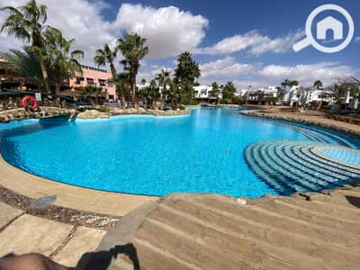 1 Bedroom Chalet for Rent in Sharm al-Sheikh, South Sinai - WhatsApp Image 2025-02-22 at 1.35. 21 PM (1). jpeg