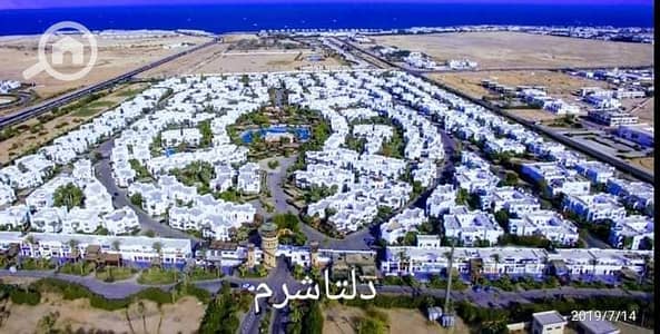 فلیٹ 1 غرفة نوم للبيع في شرم الشيخ، جنوب سيناء - 463122340_2851551045016350_2964457064561485773_n. jpg