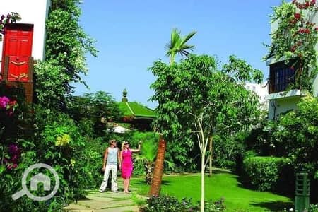 3 Bedroom Chalet for Rent in Sharm al-Sheikh, South Sinai - 463122273_2851552038349584_1355555044956572057_n. jpg