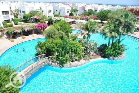 فلیٹ 1 غرفة نوم للبيع في شرم الشيخ، جنوب سيناء - 462698055_2851553115016143_1725918616890201905_n. jpg