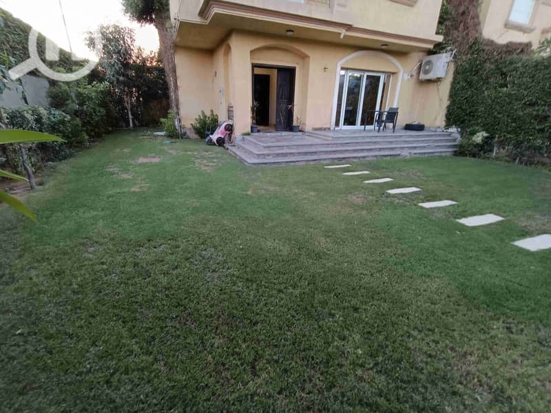 5 1000781188. jpg