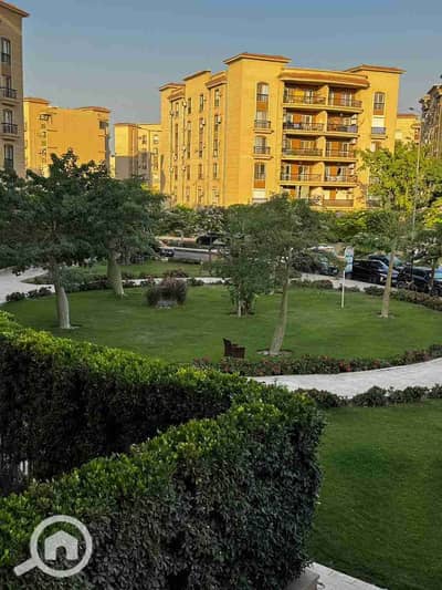 شقة 3 غرف نوم للبيع في القاهرة الجديدة، القاهرة - 1000421442. jpg