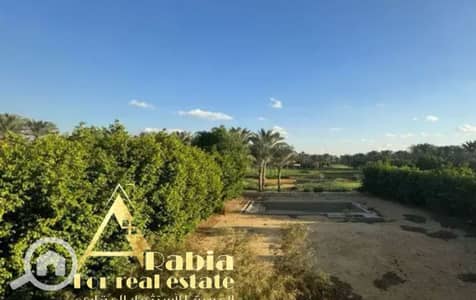 7 Bedroom Villa for Sale in New Cairo, Cairo - WhatsApp Image 2025-06-11 at 9.12. 55 PM (3). jpeg