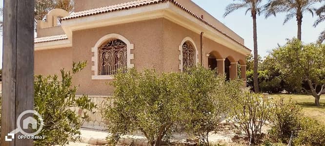 Agricultural for Sale in 6th of October, Giza - مزرعه 18 فدان للبيع مسجله طريق مصر اسكندريه الصحراوي