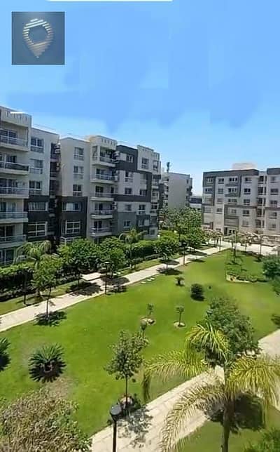 3 Bedroom Apartment for Sale in Madinaty, Cairo - WhatsApp Image 2025-08-03 at 18.55. 46_086518e5. jpg