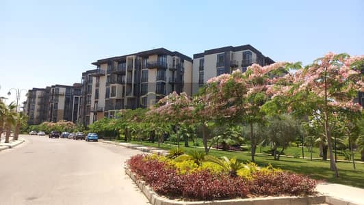 3 Bedroom Flat for Sale in Madinaty, Cairo - images. jpeg