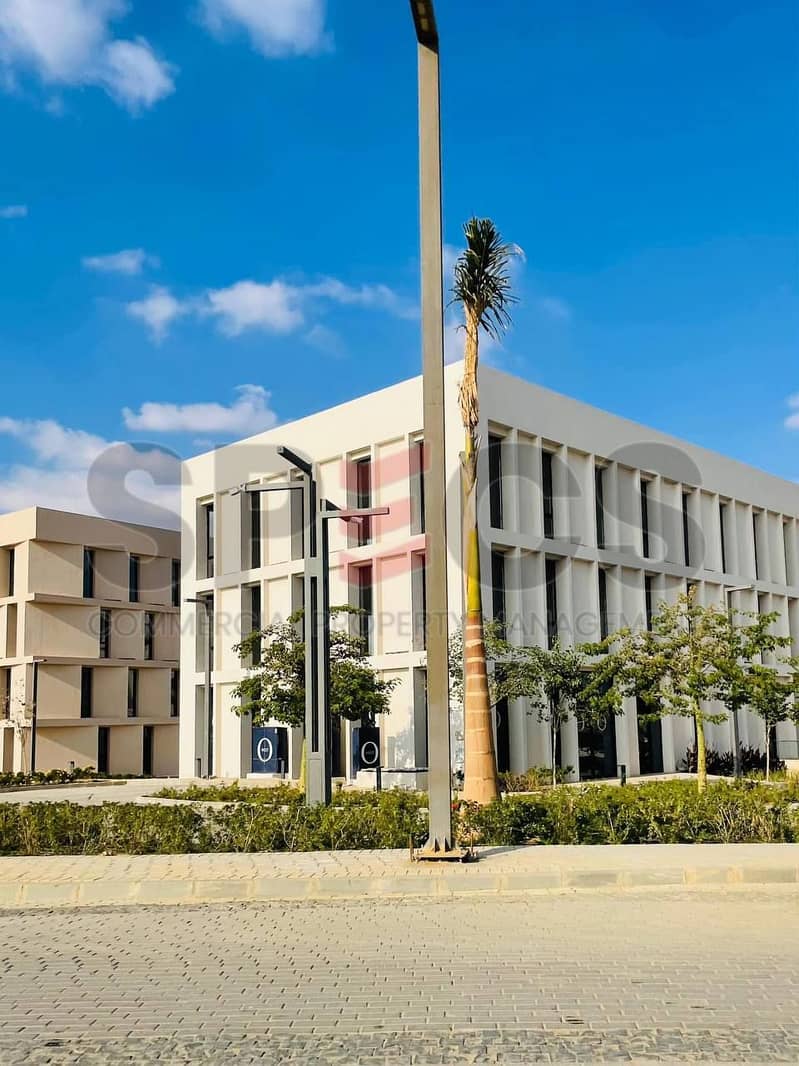 3 photo_5886593300595590340_y. jpg