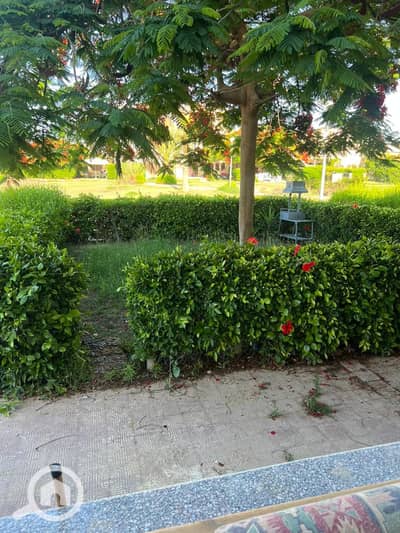 2 Bedroom Chalet for Rent in North Coast, Matruh - 1000070654. jpg