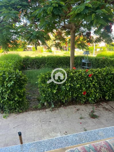 شاليه 2 غرفة نوم للايجار في الساحل الشمالي، مطروح - IMG-20250612-WA0024. jpg