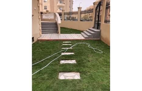 شقة 3 غرف نوم للايجار في الشيخ زايد، الجيزة - IMG-20250820-WA0103. jpg
