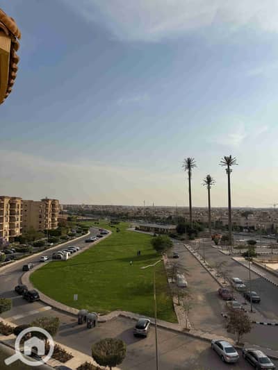 3 Bedroom Flat for Rent in New Cairo, Cairo - 1000351900. jpg