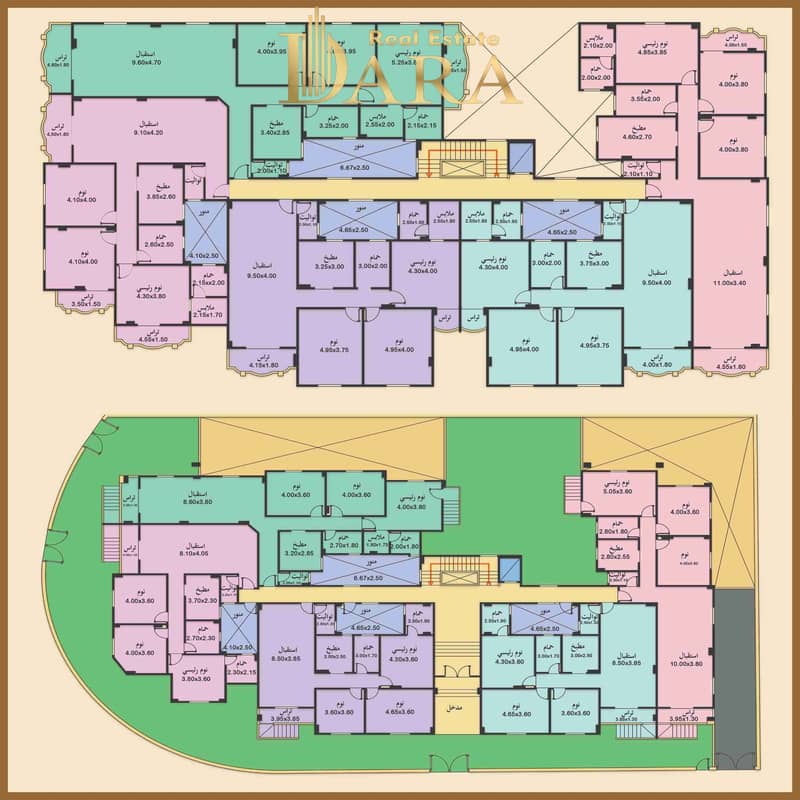 3 1000835950. jpg