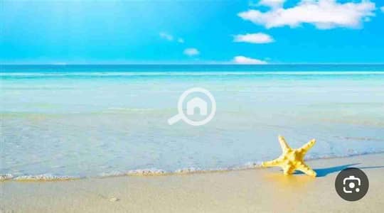 أرض سكنية  للبيع في دمياط الجديدة، دمياط - 1000101462. jpg