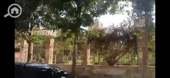 Residential Land for Sale in Nasr City, Cairo - WhatsApp Image 2025-08-13 at 01.28. 20. jpeg