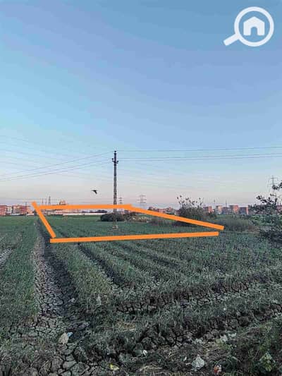 أرض سكنية  للبيع في الزقازيق، الشرقية - IMG-20250830-WA0003. jpg
