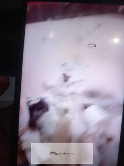 شقة 3 غرف نوم للايجار في حدائق الاهرام، الجيزة - WhatsApp Image 2025-08-11 at 2.08. 49 PM. jpeg