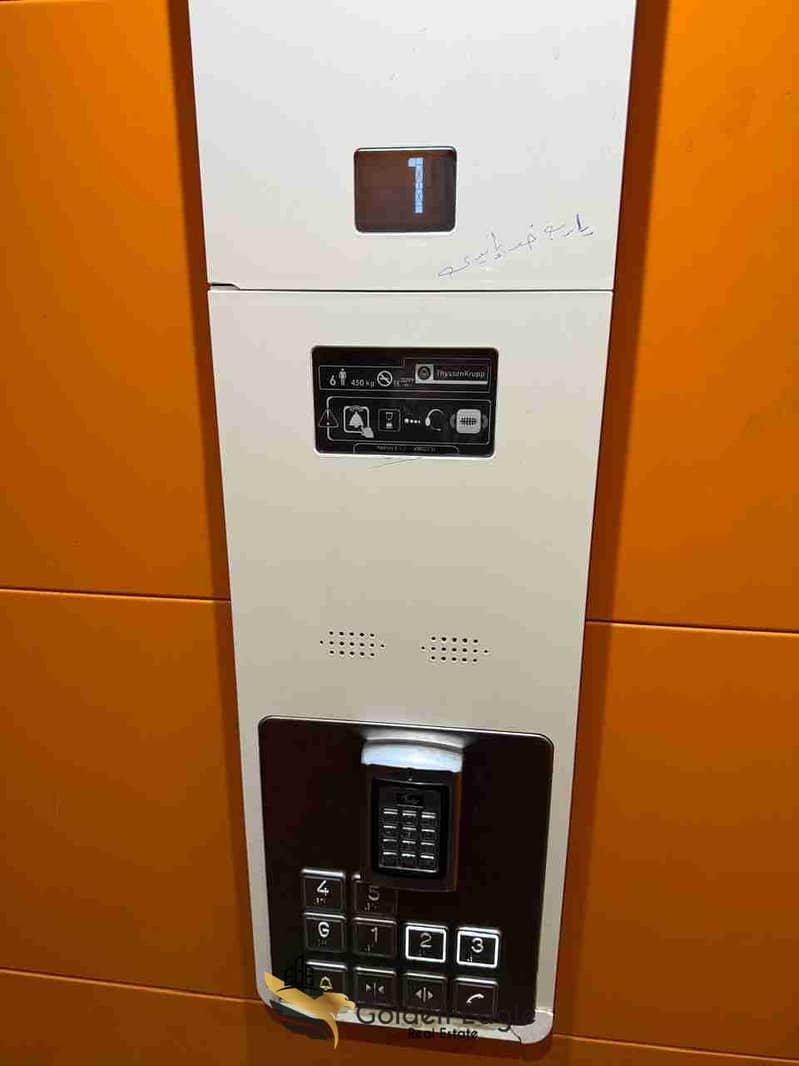 17 1000049601. jpg
