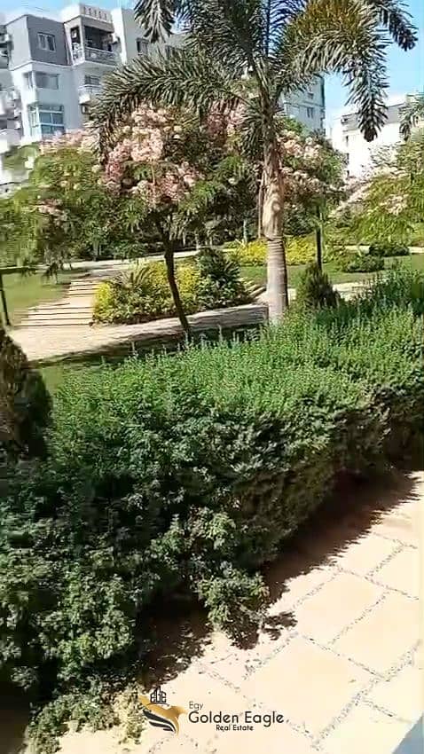 4 1000138442. jpg