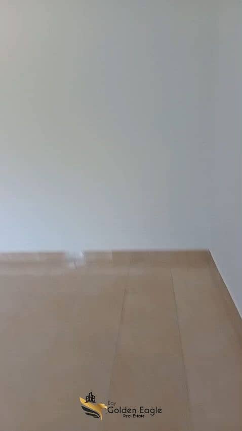 5 1000138447. jpg