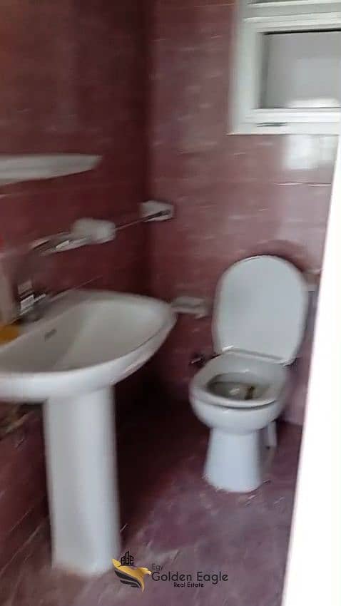 6 1000138446. jpg