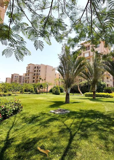 2 Bedroom Flat for Rent in Madinaty, Cairo - 1000102851. jpg