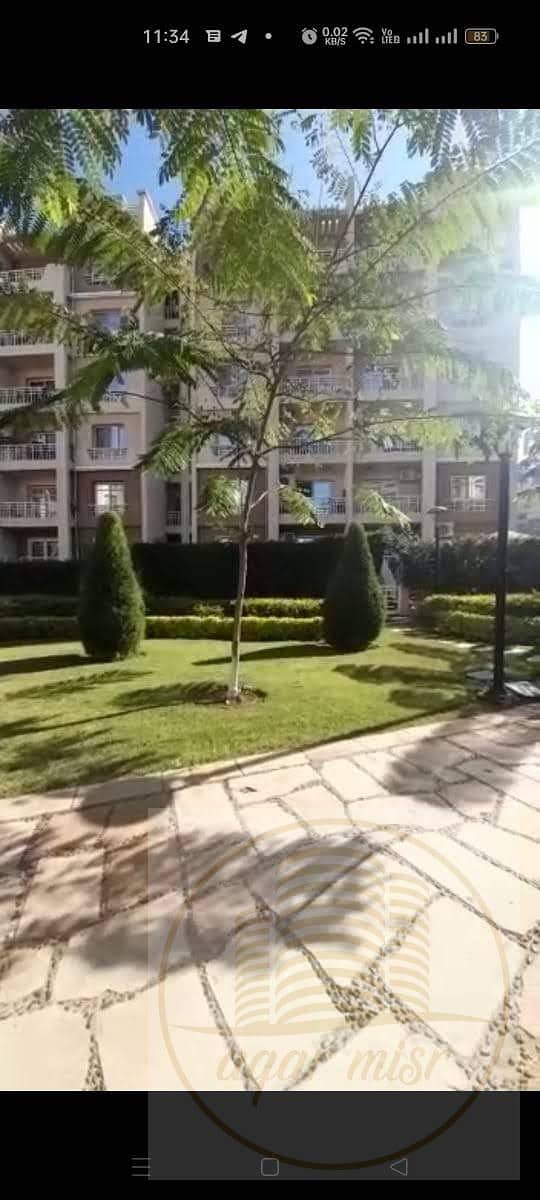 2 WhatsApp Image 2025-08-19 at 10.31. 43 AM (2). jpeg