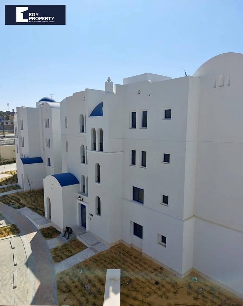 5 greek marassi (11). jpeg