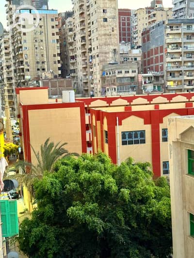 فلیٹ 3 غرف نوم للبيع في ميامي، الإسكندرية - 539830424_24528253530125074_5715568154705863486_n. jpg