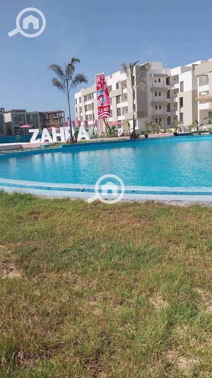 6 OzbQF5Fm8kRtSdzjQ2HXYtEdSMV8tlcOfSdLX9zs. jpg