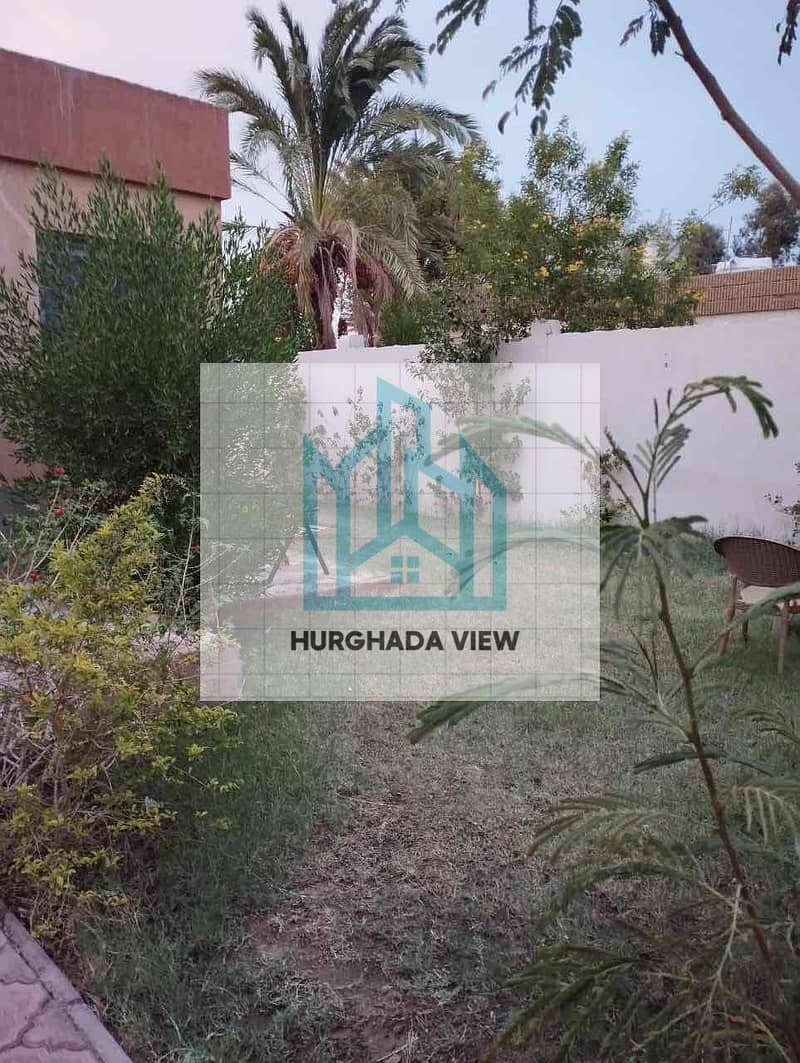 4 d1129ada-7eb1-4e27-8185-464e100858d6. jpg