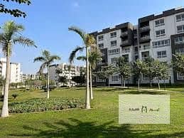 3 Bedroom Flat for Sale in Madinaty, Cairo - WhatsApp Image 2025-02-06 at 4.33. 17 PM. jpeg