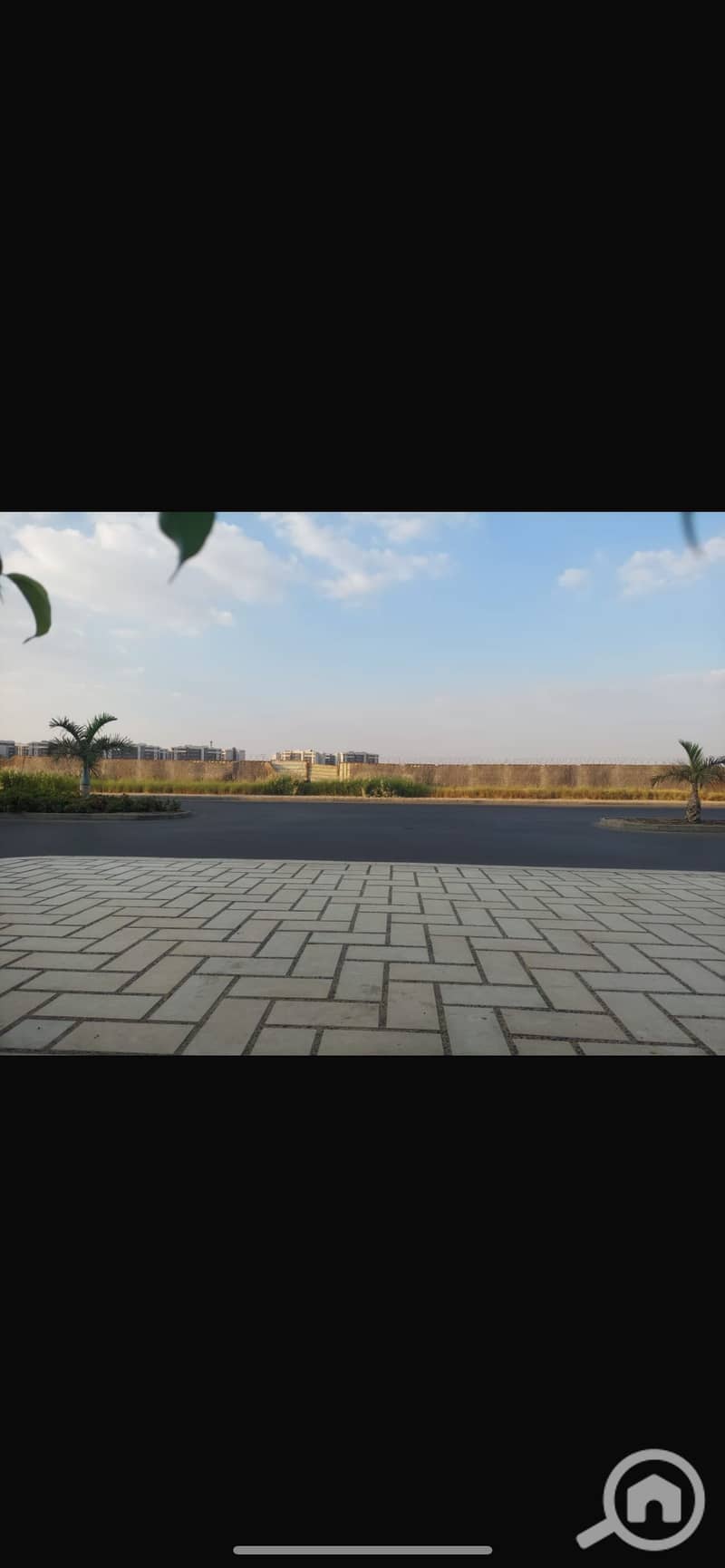4 IMG_0416. png
