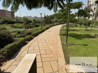 4 Bedroom Flat for Sale in Madinaty, Cairo - 531802825_3168262803331078_3490106472694024695_n. jpg