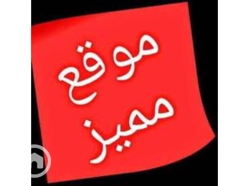 3 WhatsApp Image 2025-08-31 at 12.54. 52 PM (1). jpeg