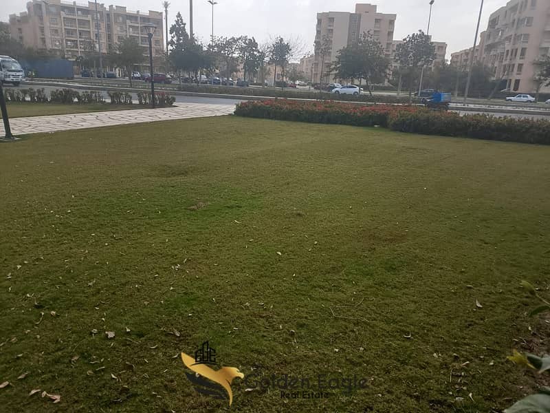 20 1000050311. jpg