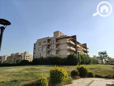 3 Bedroom Flat for Sale in Shorouk City, Cairo - IMG20241026161645. jpg