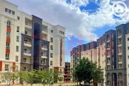 3 Bedroom Apartment for Sale in Agami, Alexandria - IMG-20250803-WA0105. jpg