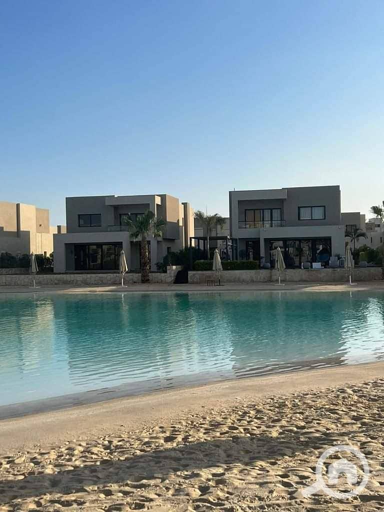 6 ازها الساحل الشمالى (14). jpg