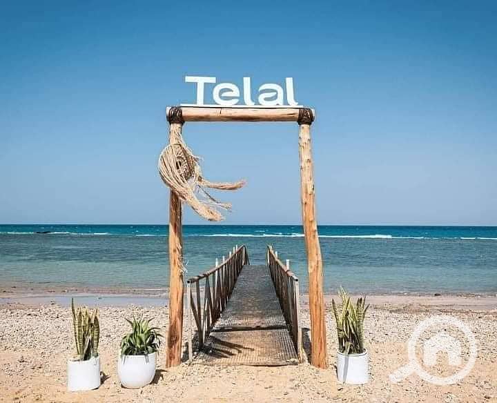 3 تلال الساحل الشمالى  (3). jpg