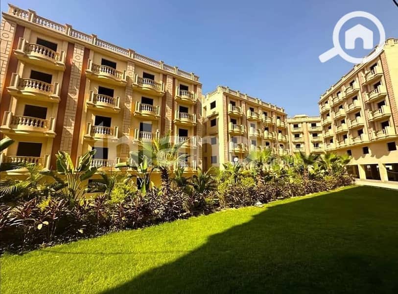 3 461782040_550562737447636_8881397108769692172_n. jpg