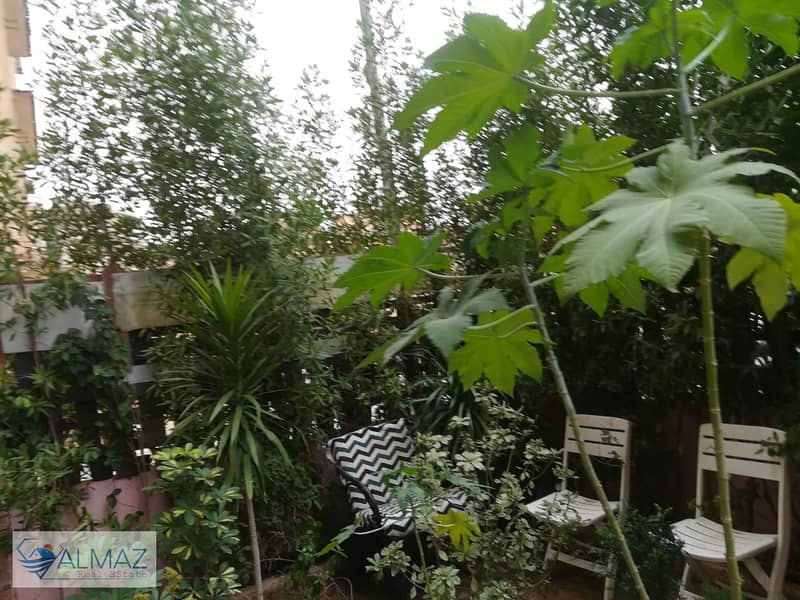 19 IMG-20250831-WA0035. jpg