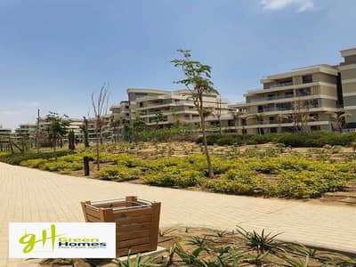 2 Bedroom Flat for Sale in New Cairo, Cairo - IMG-20230912-WA0142. jpg