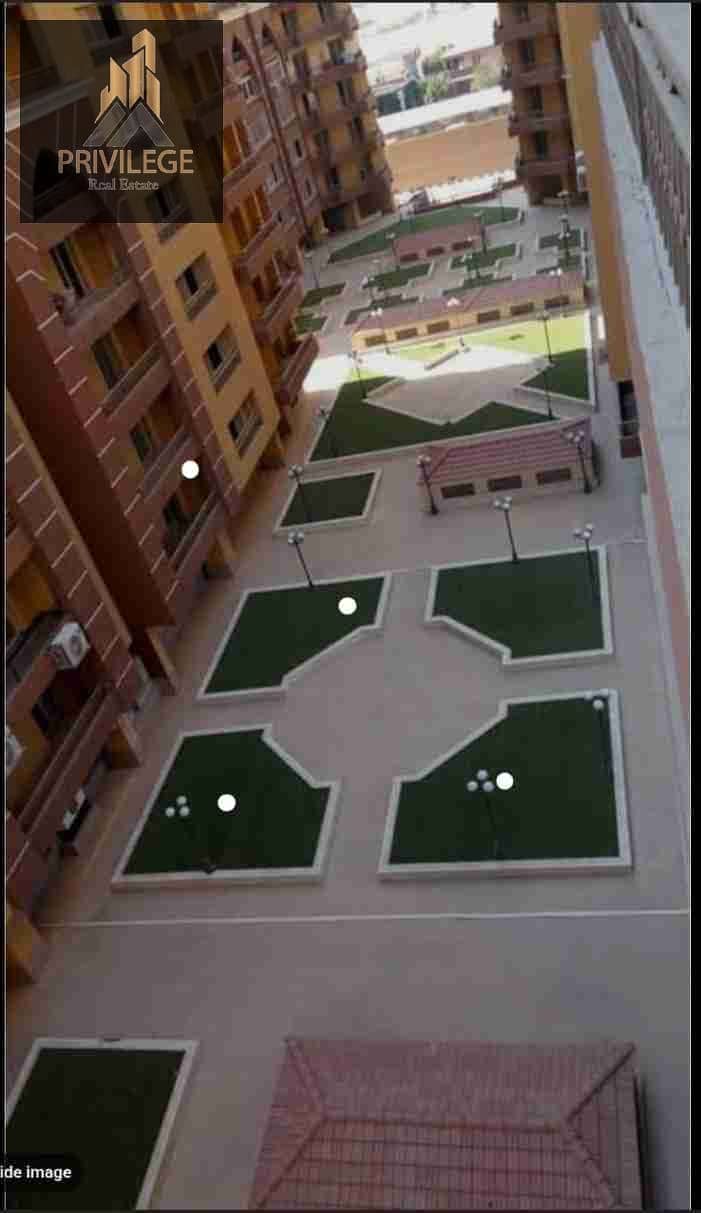 5 1000811484. jpg