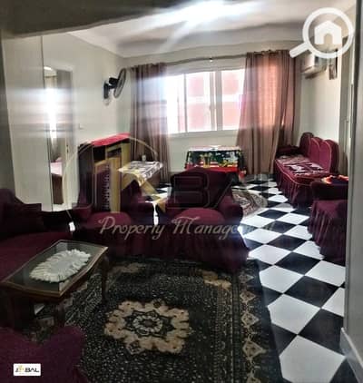 2 Bedroom Apartment for Rent in Victoria, Alexandria - WhatsApp Image 2025-08-31 at 3.31. 37 PM (2). jpeg
