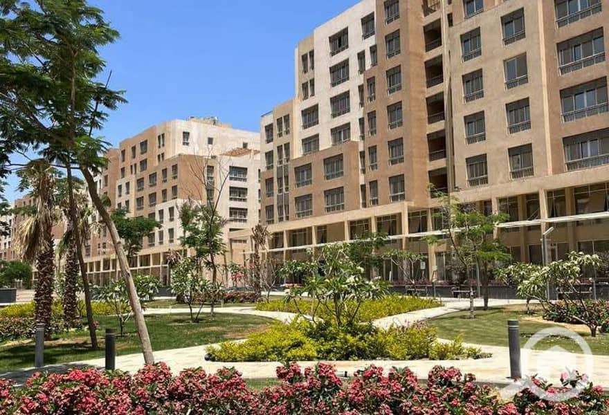 8 المقصد (4). jpg