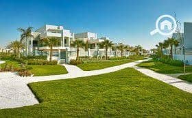 6 images (4). jpg
